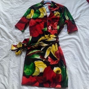 Multicolor Floral Dress